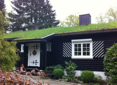 Green roofs, which are basically vegetated roofs, can have a huge benefit on the energy efficiency of your home, but there are a lot of myths about it that causes skepticism in some homeowners. Source: Houzz